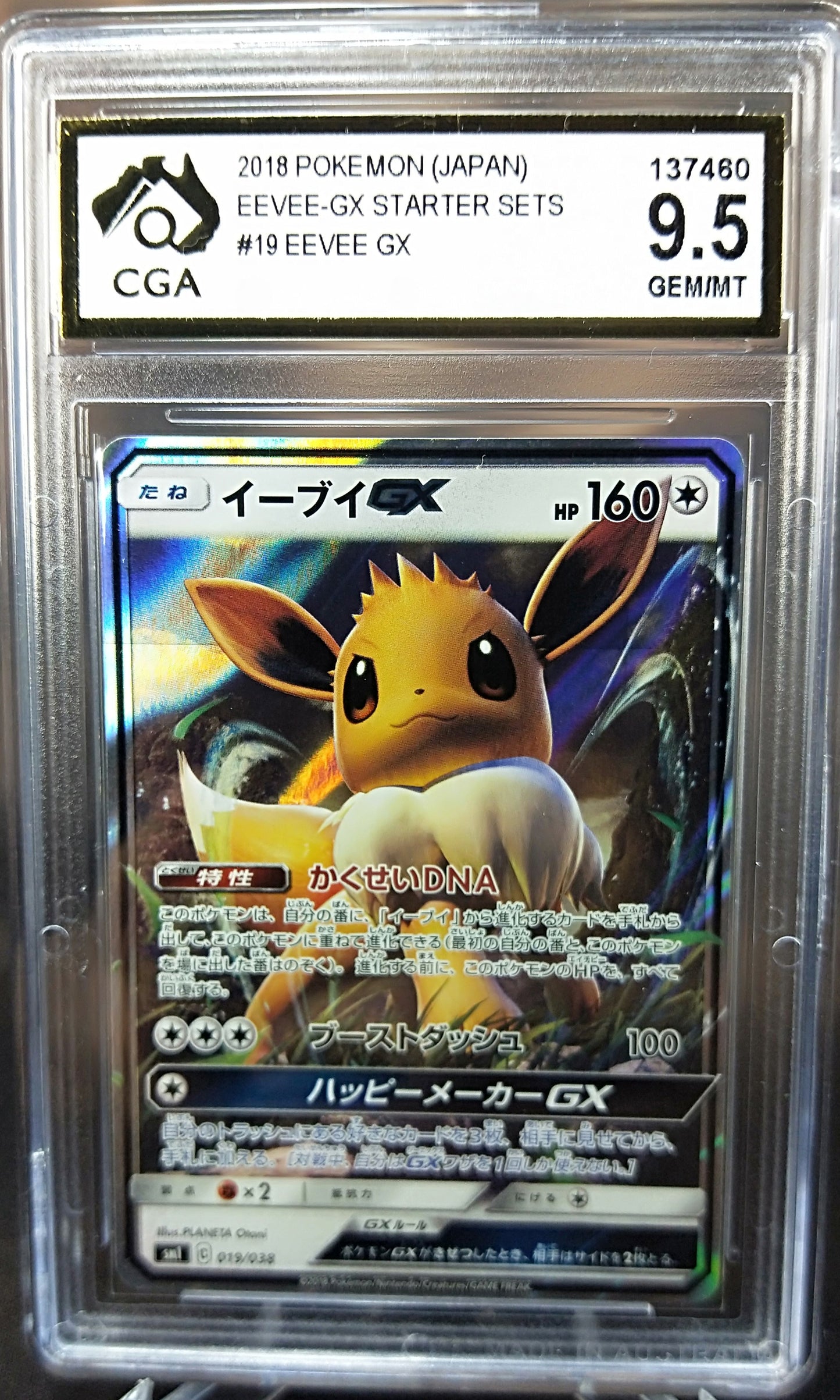 Eevee GX 019/038CGA 9.5 EEVEE GX Starter Set JAPANESE POKEMON GRADED CARD