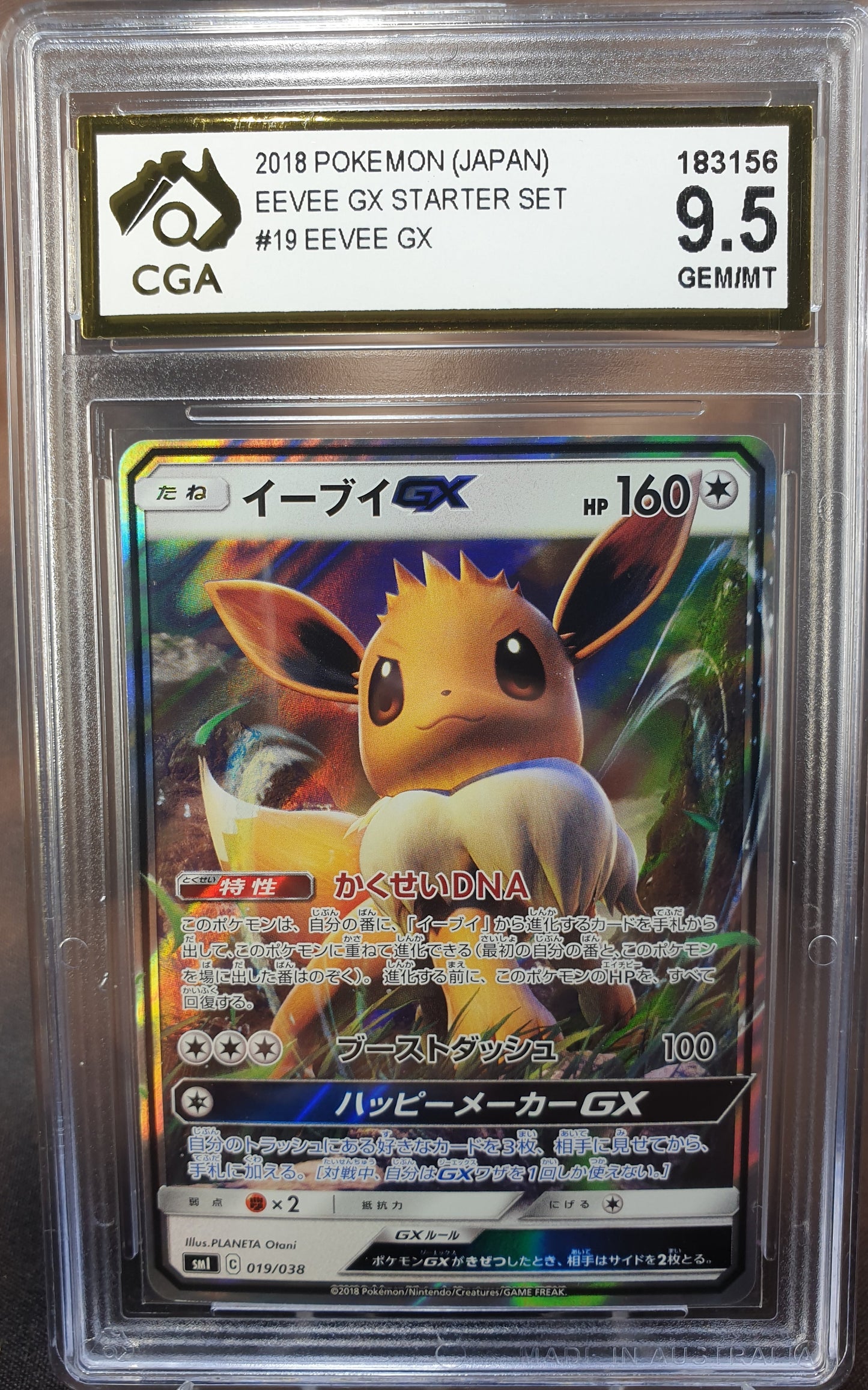 Eevee GX 019/038 sm1 CGA 9.5 GX Starter Set JAPANESE POKEMON GRADED CARD